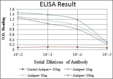 Mouse Monoclonal Antibody to SMN1