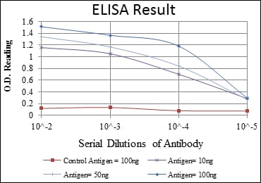 Mouse Monoclonal Antibody to c-Rel