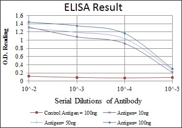 Mouse Monoclonal Antibody to NFKB1