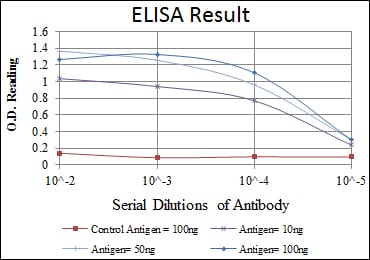 Mouse Monoclonal Antibody to HSP90AB1