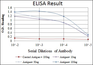 Mouse Monoclonal Antibody to HSP90AB1