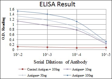 Mouse Monoclonal Antibody to FYN
