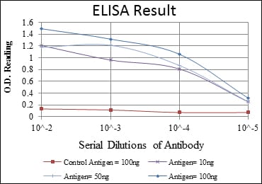 Mouse Monoclonal Antibody to CRKL