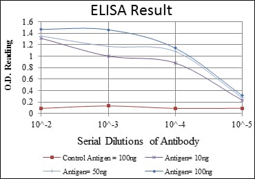 Mouse Monoclonal Antibody to BLNK