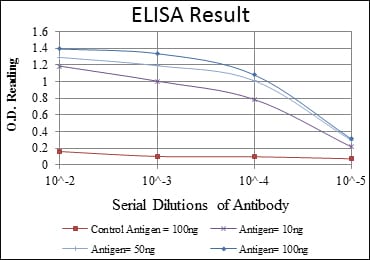Mouse Monoclonal Antibody to GRIA3
