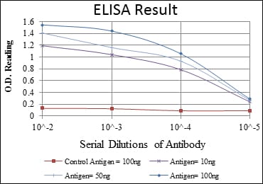 Mouse Monoclonal Antibody to NFKB1