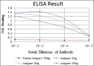 Mouse Monoclonal Antibody to ACTA2