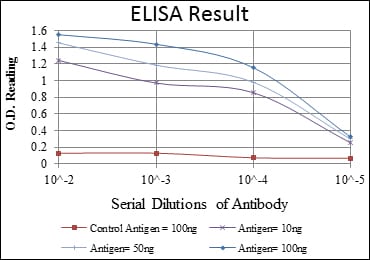 Mouse Monoclonal Antibody to GKAP