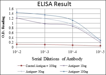 Mouse Monoclonal Antibody to ITK