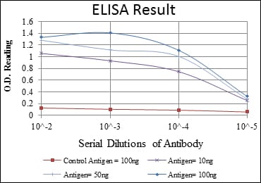 Mouse Monoclonal Antibody to AIF