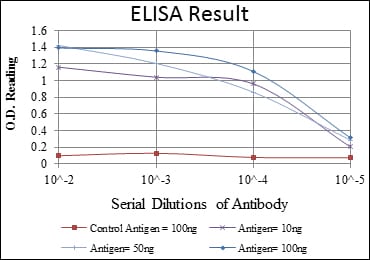Mouse Monoclonal Antibody to IRAK4