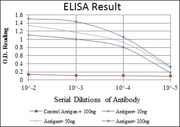 Mouse Monoclonal Antibody to C-CBL