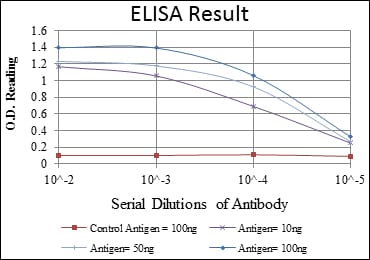 Mouse Monoclonal Antibody to c-Jun