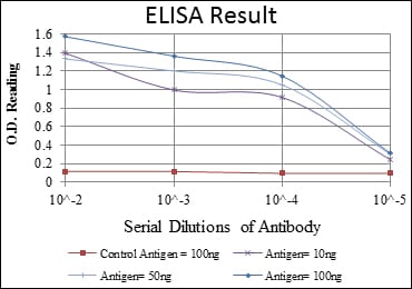 Mouse Monoclonal Antibody to CRK