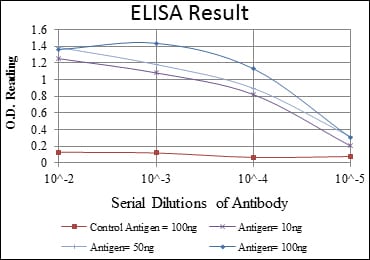 Mouse Monoclonal Antibody to MAPK3