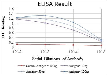 Mouse Monoclonal Antibody to AIB1