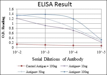 Mouse Monoclonal Antibody to CCT2