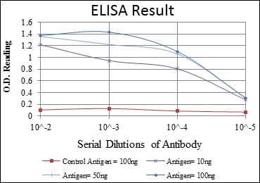 Mouse Monoclonal Antibody to FGG