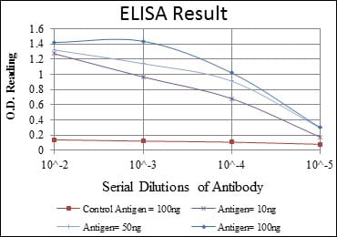 Mouse Monoclonal Antibody to JUP