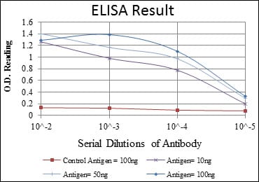 Mouse Monoclonal Antibody to FGG