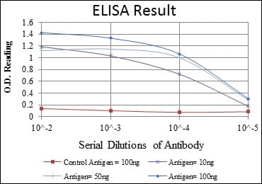 Mouse Monoclonal Antibody to MAP3K2