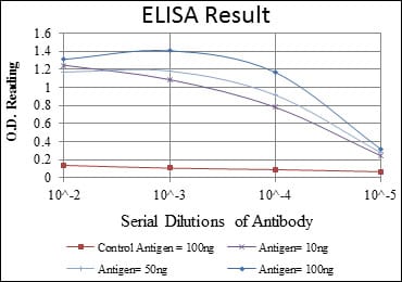 Mouse Monoclonal Antibody to CCT2