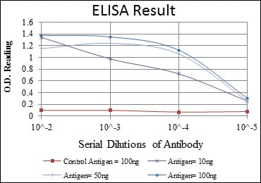 Mouse Monoclonal Antibody to KID