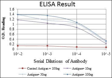 Mouse Monoclonal Antibody to CASP8