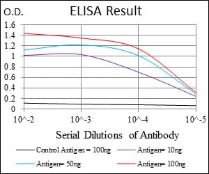 Mouse Monoclonal Antibody to UBE2I