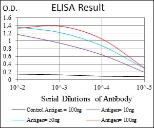 Mouse Monoclonal Antibody to MSH6