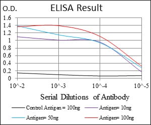 Mouse Monoclonal Antibody to RSK2
