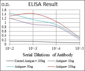 Mouse Monoclonal Antibody to G6PD