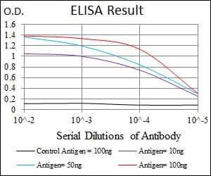Mouse Monoclonal Antibody to MBP