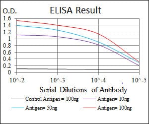 Mouse Monoclonal Antibody to SRC