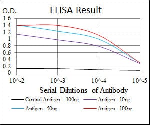 Mouse Monoclonal Antibody to MAP2K7