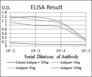 Mouse Monoclonal Antibody to NQO1