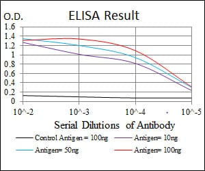 Mouse Monoclonal Antibody to NQO1