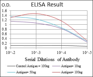 Mouse Monoclonal Antibody to KCNQ1