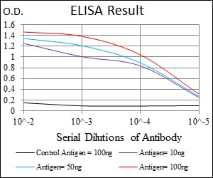 Mouse Monoclonal Antibody to MSH6