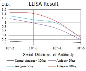 Mouse Monoclonal Antibody to TUBA8