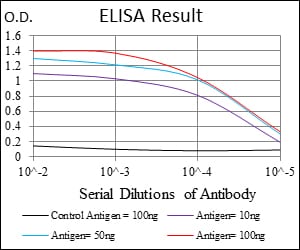 Mouse Monoclonal Antibody to ROCK1