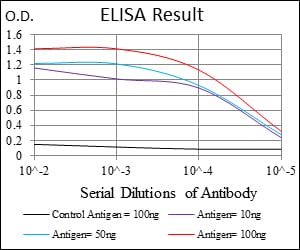 Mouse Monoclonal Antibody to NEFL