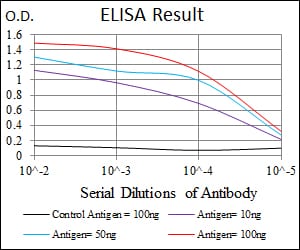 Mouse Monoclonal Antibody to CYP1A1