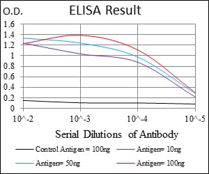 Mouse Monoclonal Antibody to NEFL