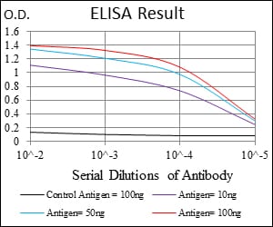 Mouse Monoclonal Antibody to UBB
