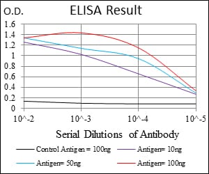 Mouse Monoclonal Antibody to RPS6KB1