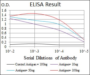 Mouse Monoclonal Antibody to ASS1