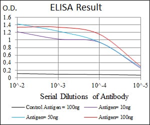 Mouse Monoclonal Antibody to YAP1