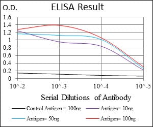 Mouse Monoclonal Antibody to PBK