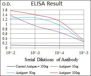 Mouse Monoclonal Antibody to RAF1